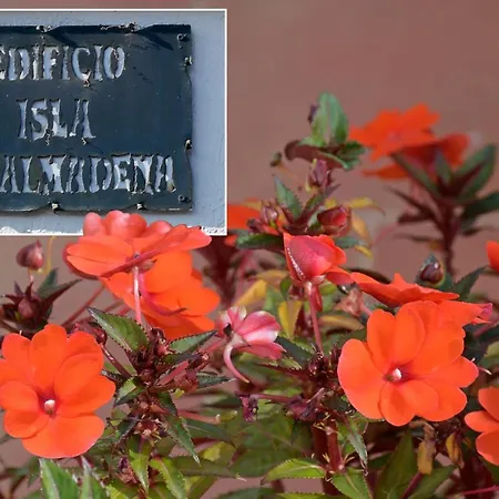 شقة Isla De 1, Jacuzzi, 80m From The Sea, Ac, Bbq, Private Parking, Big Terrace *